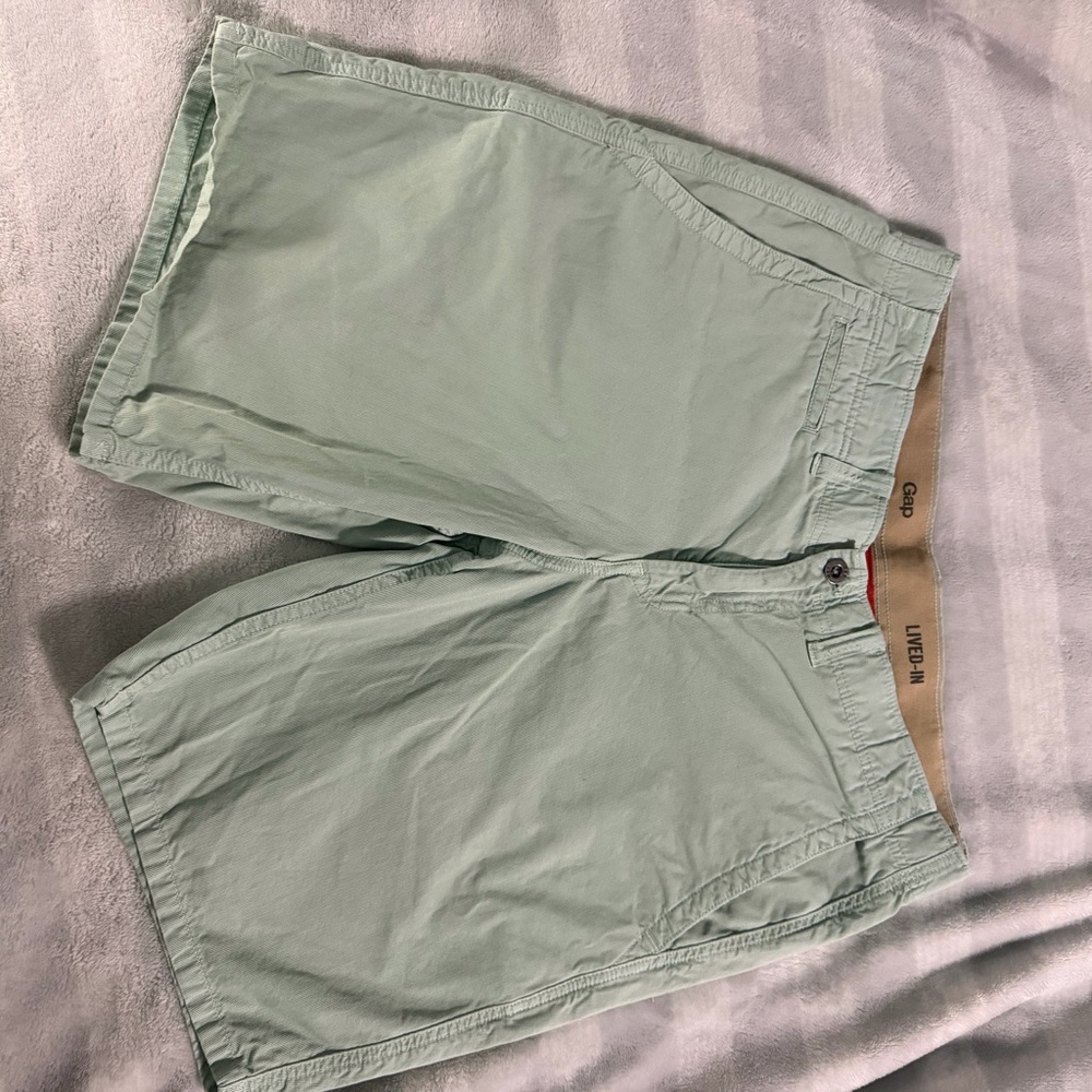 GAP Lived-In Men's Mint Green Chino Shorts
